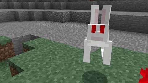 我的世界兔子怎么抓[图2]